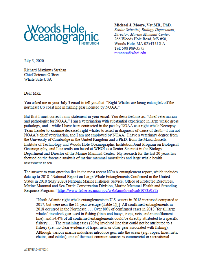 Letter to Whales Safe USA from veterinarian Michael J Moore